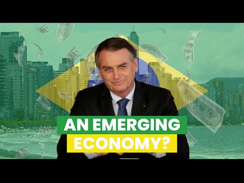 The Brazilian economy