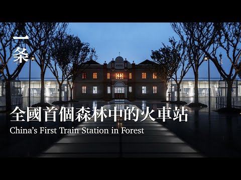 【EngSub】全國首個森林中的火車站，低調且美！ China’s First Train Station in Forest, Hidden and Attractive