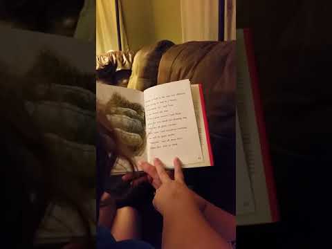 Chloe reads The Secret Three