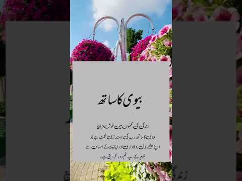 بیوی کا ساتھ #flute #music #cover #ringtone #recorder #quotes #ncsringtone #musiclove #poetry