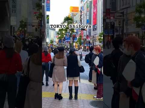 TOKYO JAPAN 🇯🇵 - Girls in SHIBUYA 渋谷#shorts #japan #girl