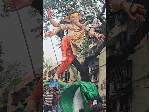 Colaba Cha Yuvraj Aagman 2024 || Ganpati Bappa Morya #aagmansohala #shorts #ytshorts #viralshorts