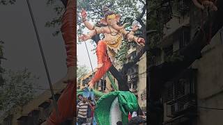 Colaba Cha Yuvraj Aagman 2024 || Ganpati Bappa Morya #aagmansohala #shorts #ytshorts #viralshorts