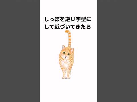 しっぽで分かる猫の心理雑学#shorts  #雑学