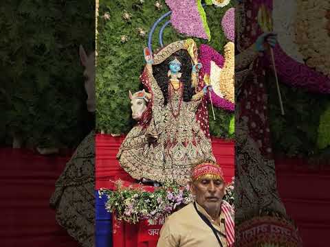 Vaishno devi Bhavan || Vaishno Devi Dharshan || Navratri 2024 #navrati2024 #shorts