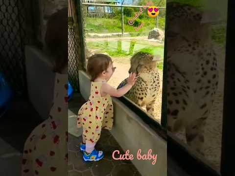 baby playing with 🐅. 🥰 #shorts #viral #tiktok #cutebaby #reels #babywithtiger