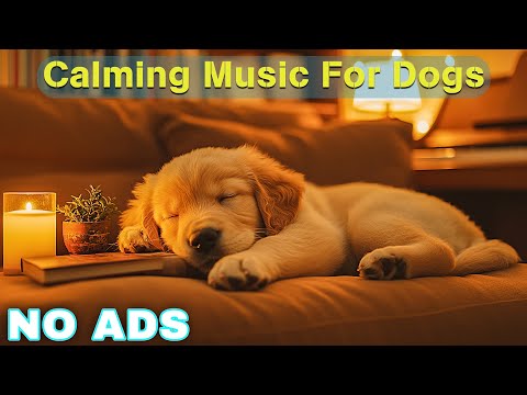 12 HOURS of Dog Calming Music For Dogs🎵💖Anti Separation Anxiety Relief Music🐶Sleep dog Healing🎵