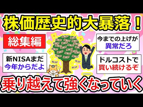 【有益】【総集編】資産運用 初心者は生きた心地がしなかった、、新NISAどう立ち回った？大衆心理で株を学ぶ。【作業用・聞き流し】【ガルちゃん】