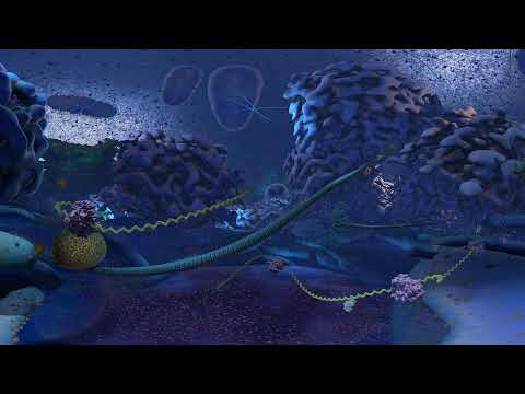 Cellscape VR Biology Animation