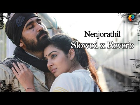 Nenjorathil (Slowed + Reverb) | Pichaikkaran | Supriya Joshi | Vijay Antony | Sasi