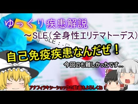 ゆっくり疾患解説　～SLE（全身性エリテマトーデス）～