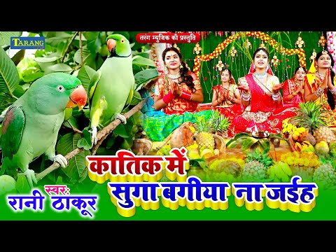 #VIDEO - कातिक मे सुगा बगिया ना जईह | Rani Thakur | Chhath Puja Song 2024 #Chhath_Geet