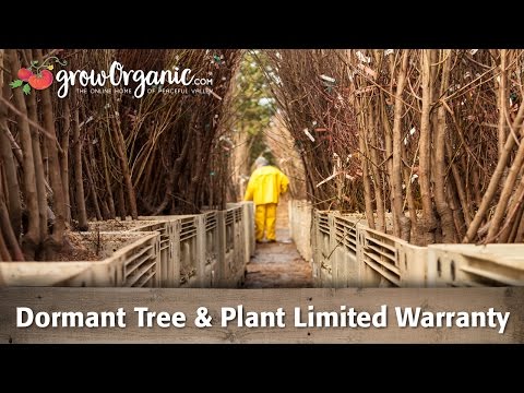 Bare Root Tree & Plant Limited Warranty