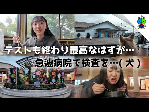 【vlog】テスト最終日！最高なお出掛けになるはずが…【MOMOLOG_207】