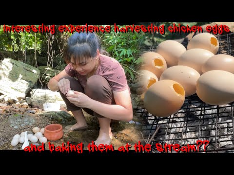 Life in the mountains: Experience harvesting wild eggs and baking them in the stream??