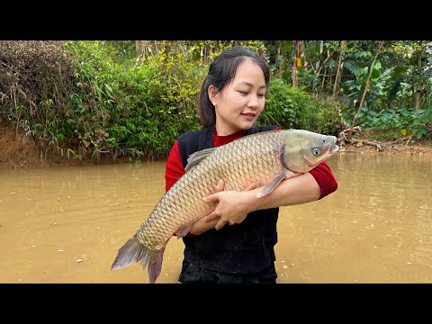 Harvesting Fish in the Pond - Fish in Tomato Sauce -Giant fish Soup for Poor Children