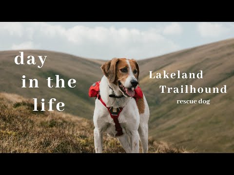 A Day in the Life of Oslo: Hiking Cautley Spout [AD] // Ramble Family Ep. 13