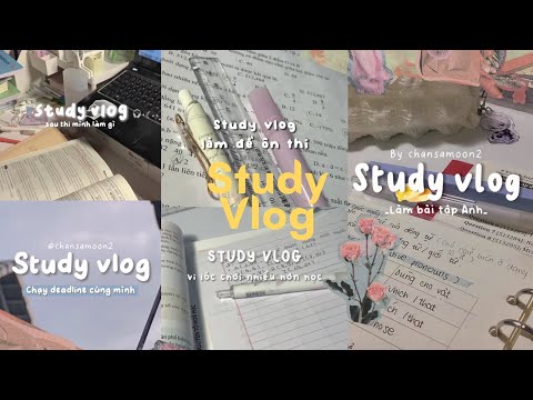 #16 #xh #tiktok #studyvlog ◞  🎐 ೕ Tổng hợp các video study vlog trên tiktok ◞  🌷