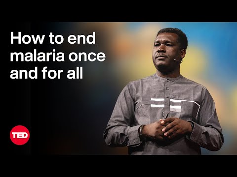 How to End Malaria Once and for All | Abdoulaye Diabaté | TED