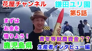 【花屋チャンネル】青年等就農資金とは⁉️生産者インタビュー‼️鹿児島県の百合農家‼️鎌田洋平さんの開業話#鎌田ユリ園#百合農家#オリエンタル#百合#鹿児島#鎌田洋平#生産者#ユリ