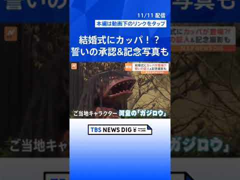 結婚式の証人はカッパ？！指輪を運んで新郎新婦を祝福！なぜかファーストバイトも…｜TBS NEWS DIG #shorts