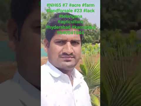 #NH65 #7 #acre #farm #landforsale #23 #lack #telangana #agriculture #hyderabad #karnataka 9640041044