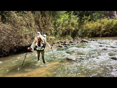 BUSHWHACKING, WATER WALKING & BACKCOUNTRY BURRITOS! Backpacking the Escalante River Trail  | Utah