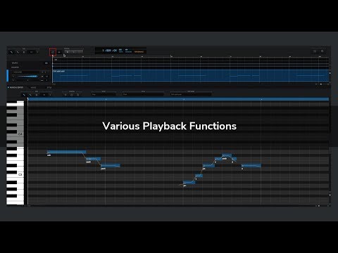 Various Playback Functions