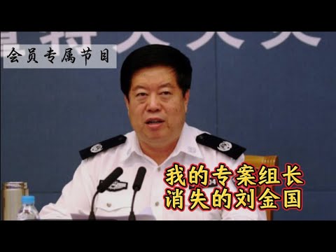 会员专享视频样片：我的专案组长，消失的刘金国……