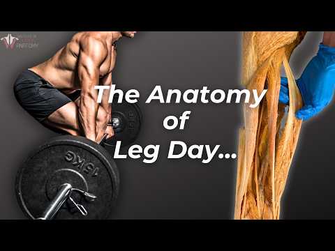 Ultimate Leg Day Workout You Can’t Miss