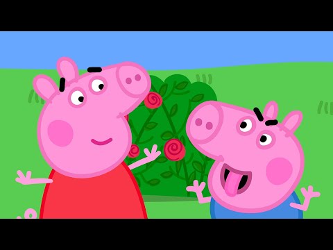 George Makes Funny Faces! 🤪 🐷 NEW Best of Peppa Pig Tales