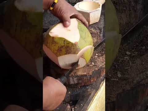 super amazing coconut peeling Asmr #satisfying #cuttingskills #streetfood #youtubeshorts #Gatchie Jr