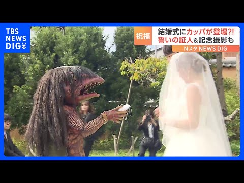 結婚式の証人はカッパ？！指輪を運んで新郎新婦を祝福！なぜかファーストバイトも…｜TBS NEWS DIG