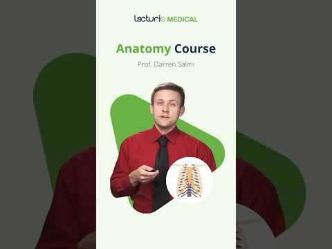 Master Thorax Anatomy with Dr. Salmi 🌟 #USMLEPrep #AnatomyEssentials #meded