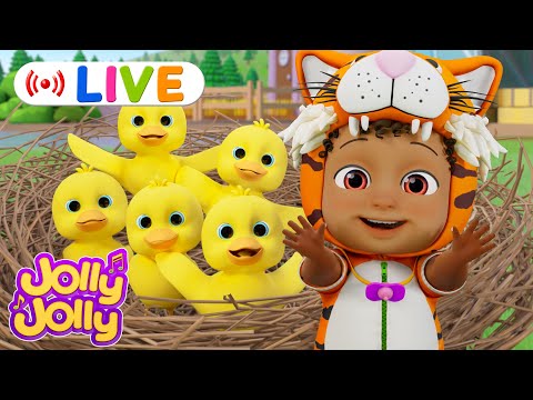 LIVE🔴Five little ducks + More | Jolly Jolly & Animals - Sing Along & Learn Numbers with Fun!