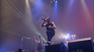 Dragon Ash｢百合の咲く場所で (Live) -2014.5.31 NIPPON BUDOKAN-｣