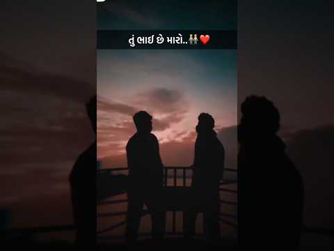 તુ ભાઈ છે મારો🤩❤️ ||bhai|| darling brother||#newsonggujaratidjremix2024