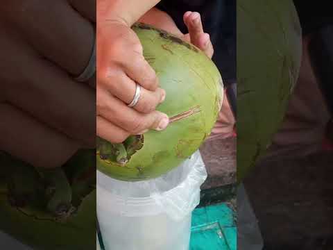 freshly cut coconut water pH street food #cuttingskills  #streetfood #youtubeshorts @GatchieJr33