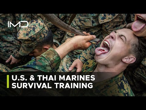 US Marines Learn Jungle Survival from Thai Marines