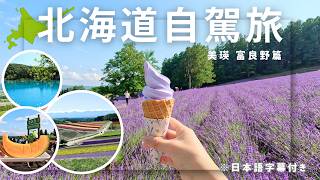 Beautiful lavender fields for summer travel in Furano Hokkaido🇯🇵 ｜Japan Travel