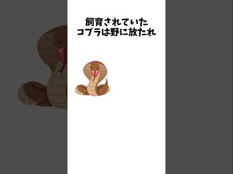 【1分解説】コブラ効果を1分で解説！#shorts #解説 #雑学