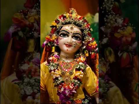 Jap le Radha Radha #radhaastami #radheradhe #radhakrishna #status #shorts