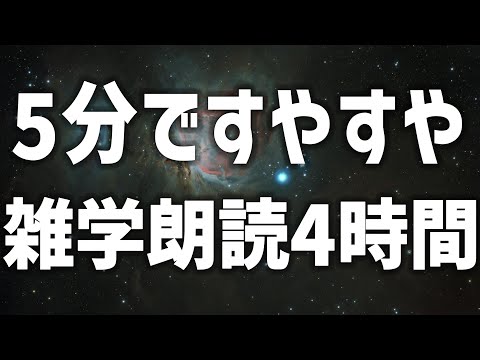 【眠れる女性の声】5分ですやすや　雑学朗読4時間【眠れないあなたへ】