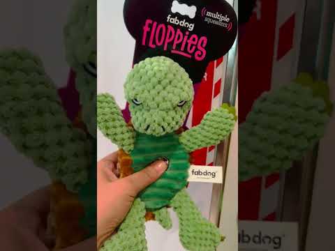 angry turtle  #asmr #trending #viral #shortvideo #shortsvideo #pets #toys #asmrsounds #shorts #short