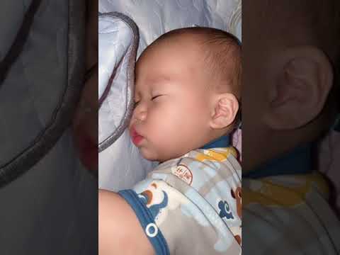 Cute 🥰 Baby kissing💋 in his Dream 🤩 #cute #Cutebaby #cuteBabies #fun #Baby #Babies #love #lovestatus