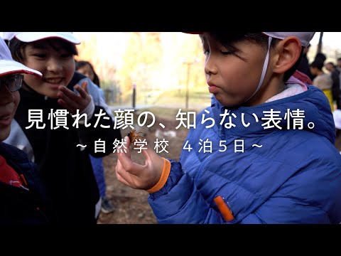 学校行事（小学校編）～兵庫県教員採用～