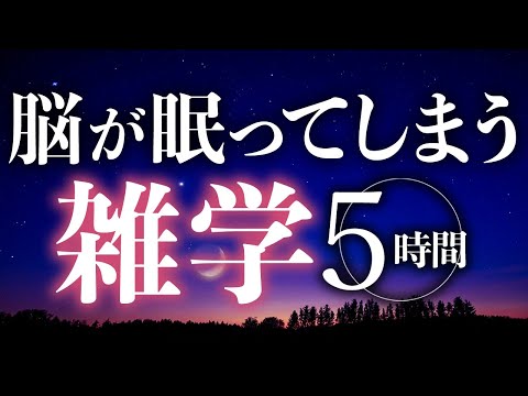 【睡眠導入】脳が眠ってしまう雑学5時間【合成音声】