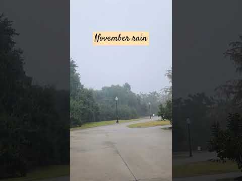 November rain #novemberrain #rain #lifestyle