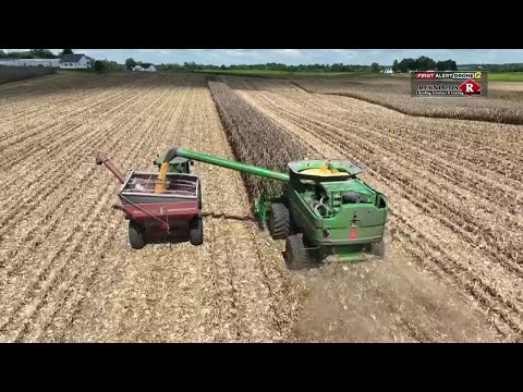 DRONE12: Corn harvest in rural Scott Co.