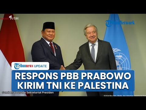 Rangkuman Hamas-Israel: Prabowo Bakal Kirim TNI ke Palestina, Tel Aviv Diteror, Warga Kocar-kacir